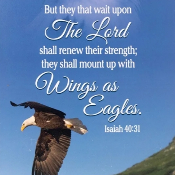 👉❤️Please like this listing to follow my upcoming shows. Thank you 💐 - Picture 6 of 12